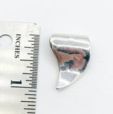 Smooth Claw Tooth Pendant Sleek Silver Tone Metal