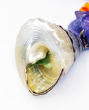 Fun Gold Accent Trichus Shell Pendant on Amethyst Tigers Eye Quartz and Glass Carnival Bead Necklace